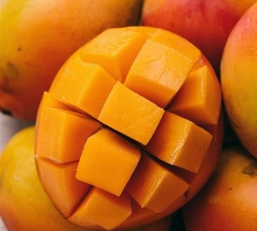 mango (1)